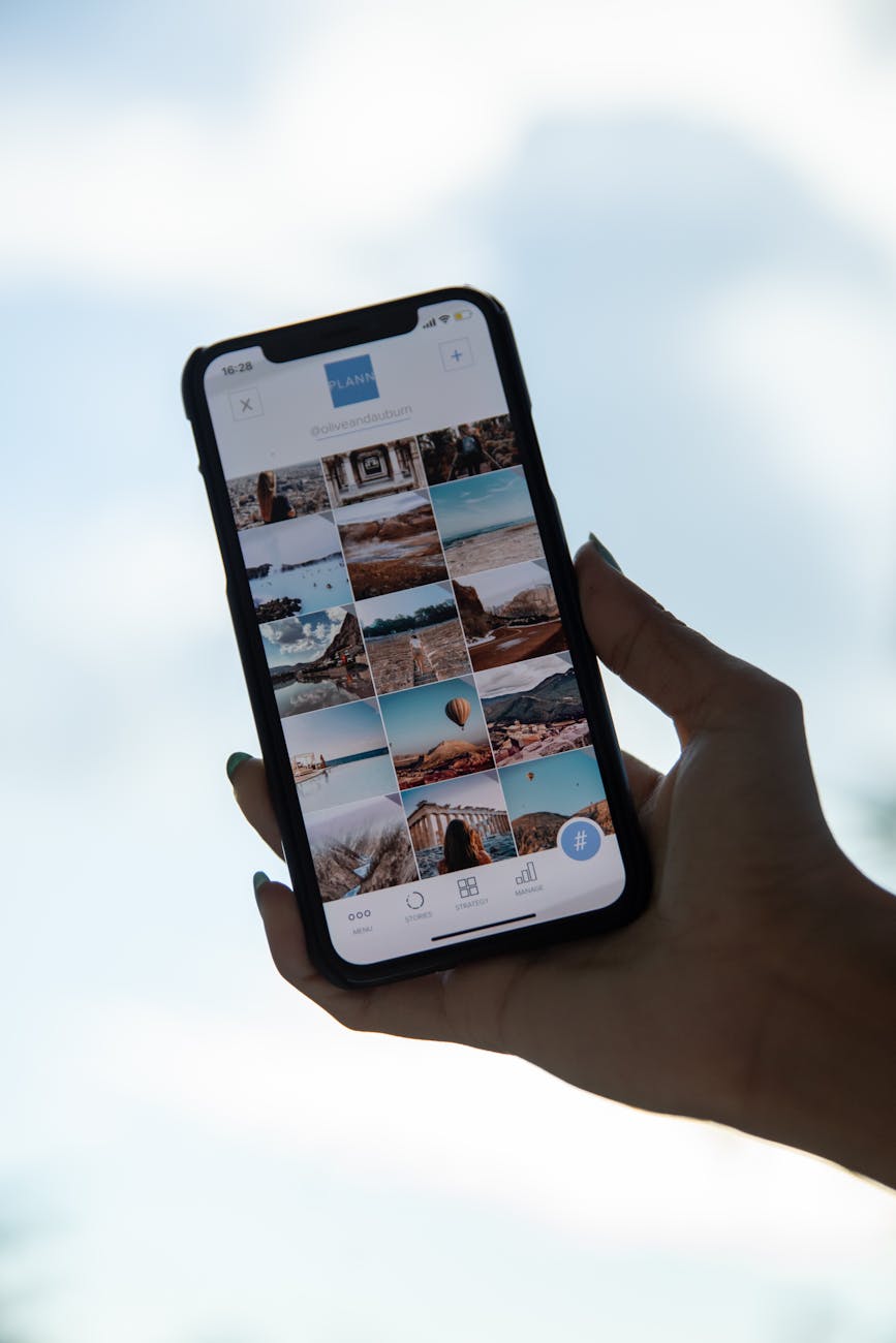 person holding smartphone